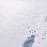 gettyrf_123022_snowfootprints2028129976243