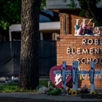 getty_52423_robbelemschool844001