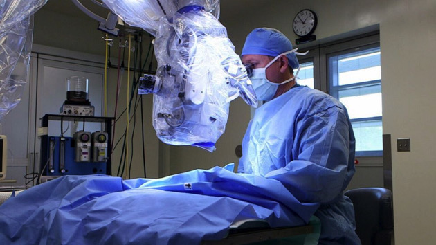 Surgeons perform kidney transplants in cats amid rising demand for advanced pet care - Vimarsana News