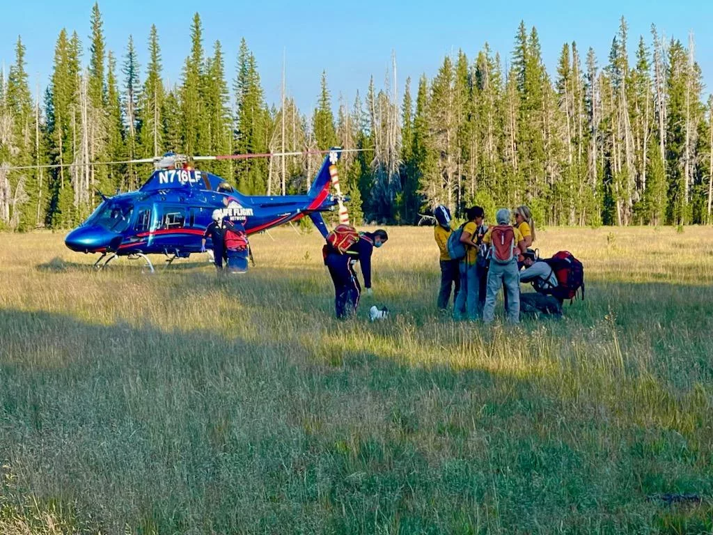 June Is Search & Rescue Month - Vimarsana News