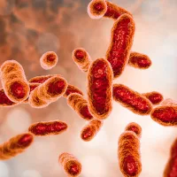 getty_062923_bacterialinfection391918