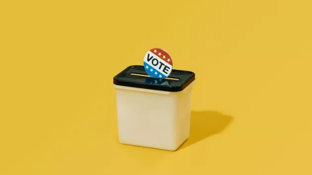 Virginia Republicans encourage early voting, a target of Trump's, ahead of fall elections - Vimarsana News