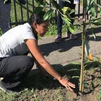 072923_courtesy_reforestation991593