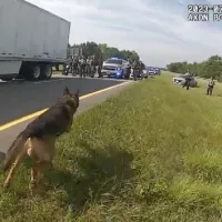 ohio-k-9-dog-attack-ht-moe-011-230730_1690734563347_hpembed_16x9_99228129500060