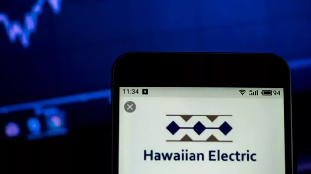 Hawaiian Electric Shares Plummet 40% After Maui Wildfires Lawsuit ...