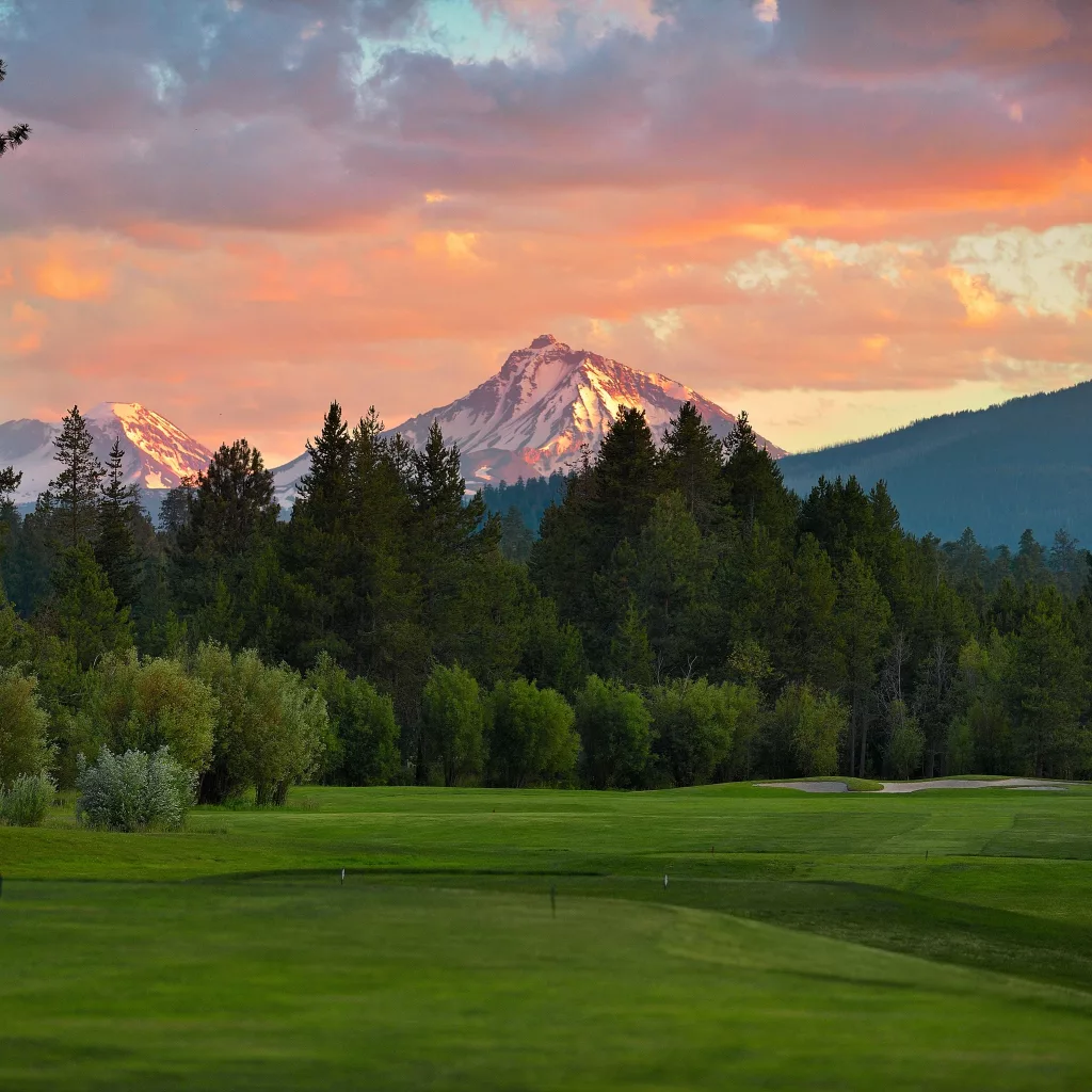 High Desert Museum Silent Auction Underway - Vimarsana News