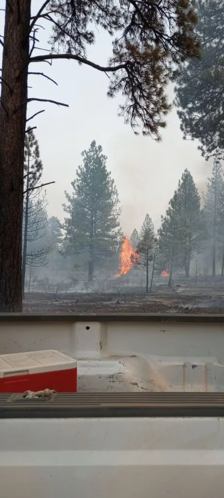 Juniper Creek Fire 30% Contained - Vimarsana News