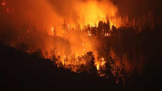 Canada's unprecedented wildfires could soon get worse, experts say - Vimarsana News