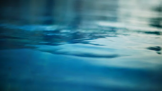 Tourists snorkeling, taking photos in Lahaina a 'slap in the face,' resident says - Vimarsana News