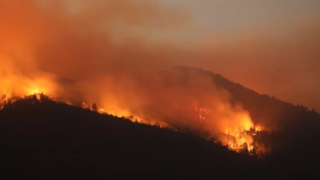 Justice Department sues utility company over 2020 Bobcat Fire - Vimarsana News