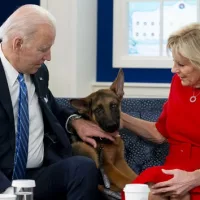 gettyimages_commanderbiden_092623812461