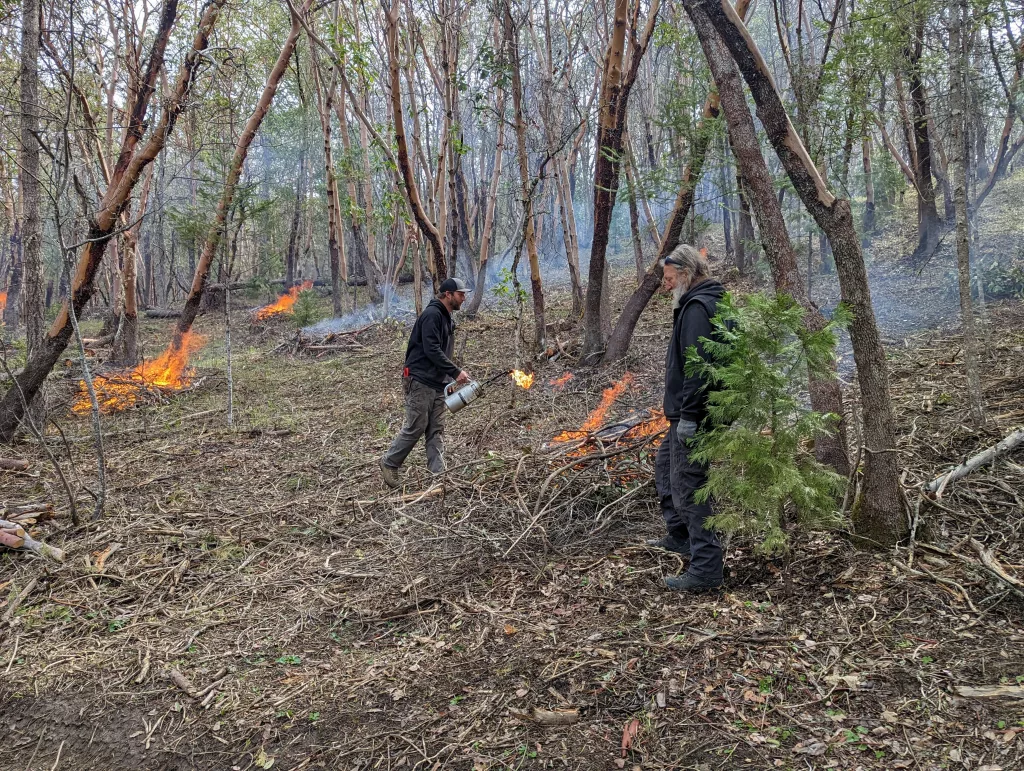 Small Forestland Grants Available - Vimarsana News