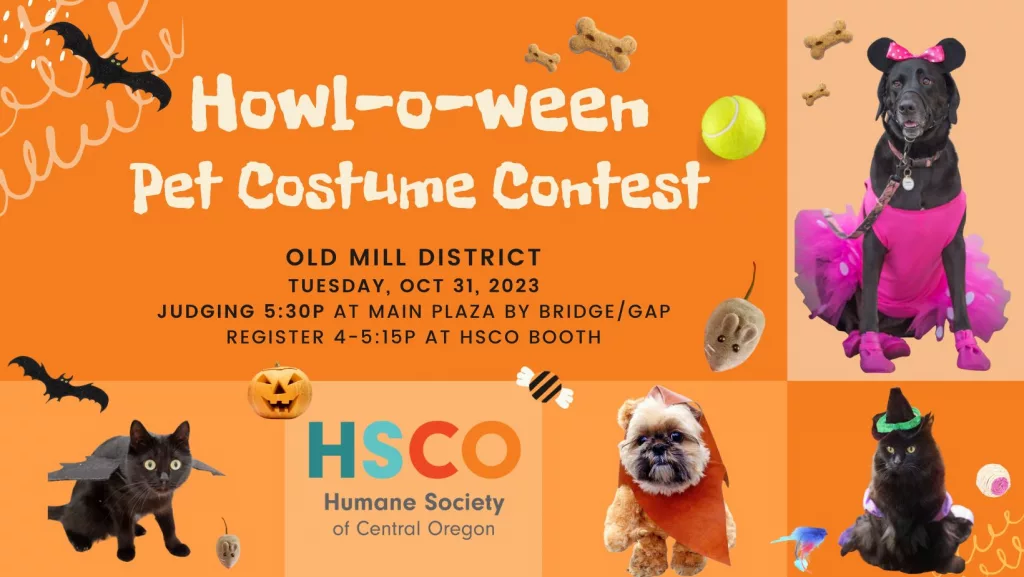 HSCO Hosts Pet Costume Contest Tuesday - Vimarsana News