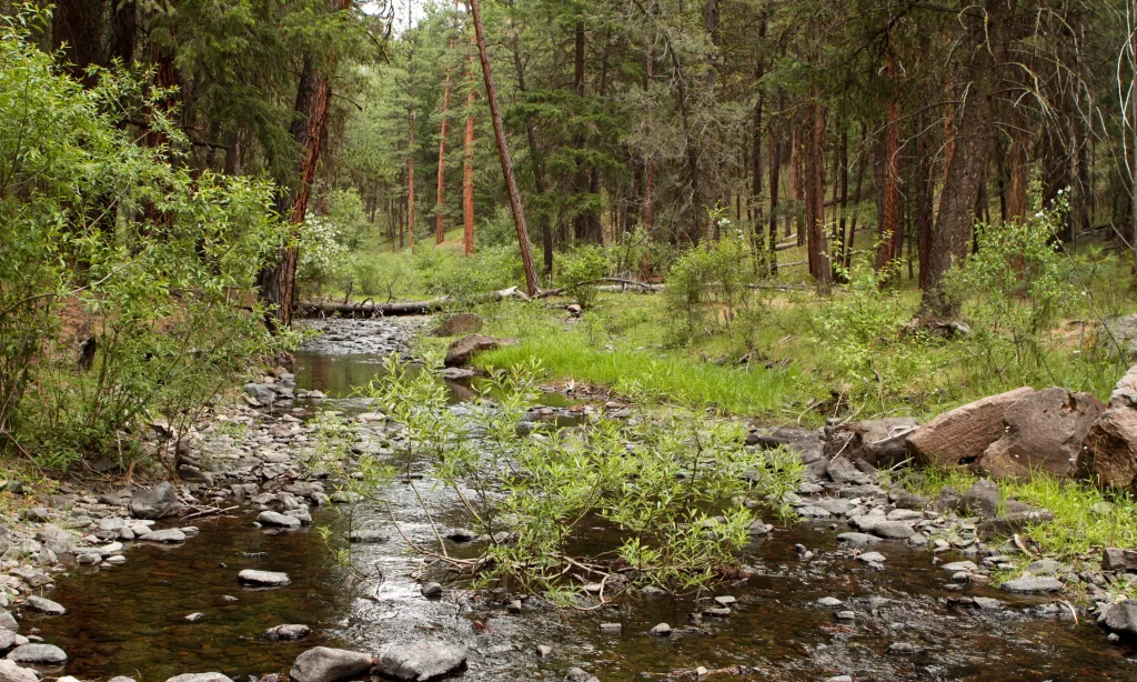 State Funds Help Deschutes Water Projects - Vimarsana News