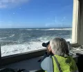 whale_watch