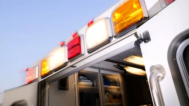 Heroic high school students help rescue mom, 2 kids trapped under car - Vimarsana News