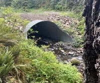 New Grant Program For Forestland Owners - Vimarsana News