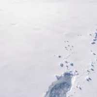gettyrf_123022_snowfootprints28129662804