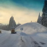 odot_snow-2