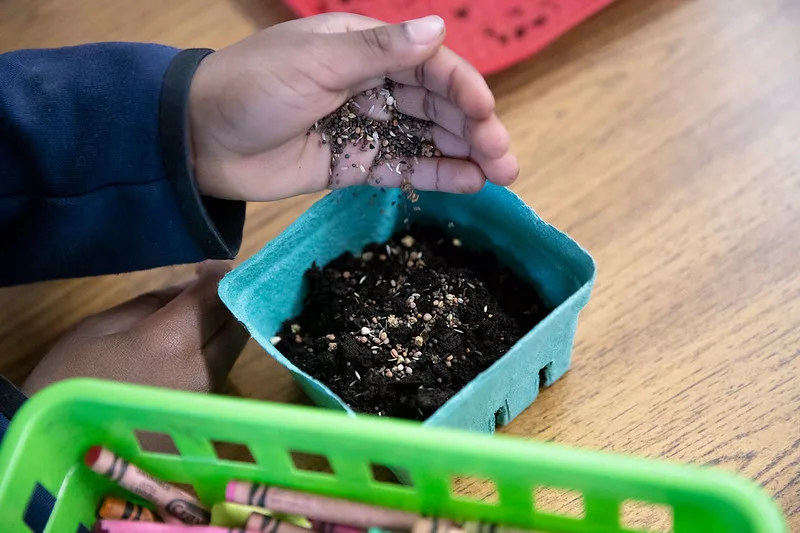 OSU Extension Statewide Seed Giveaway Returns - Vimarsana News