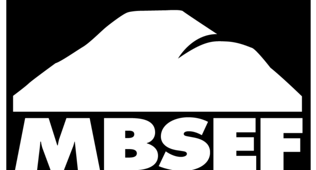 mbsef-logo-black