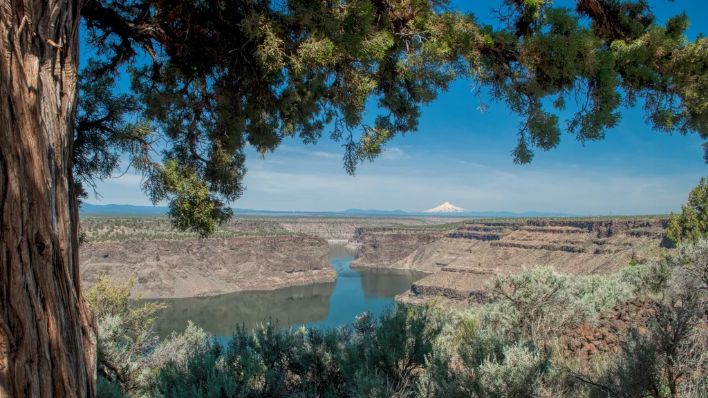 Lower Water Levels Expected On Lake Billy Chinook - Vimarsana News