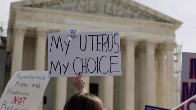 What states could vote on abortion access, reproductive rights in November? - Vimarsana News