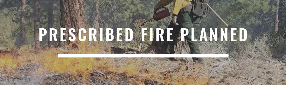 Prescribed Burn Planned Thursday Near Sunriver - Vimarsana News