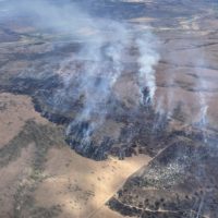 trout-creek-fire-06152024_photo-1-taken-by-cofms-air-attack