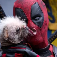 e_deadpool_dogpool_07122024248288