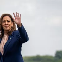 gettyimages_kamalaharris_080624791299