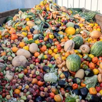 expired-organic-bio-waste-mix-vegetables-and-fruits-in-a-huge-c