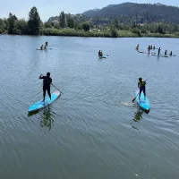 paddle_board