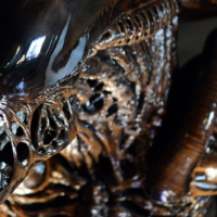 getty_alien_xeno_09032024370865