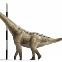 joseantoniopenasartero_titanosaur_09042449770