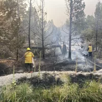 bear_creek_fire