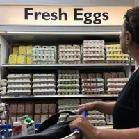 getty_groceryeggs_10142427855