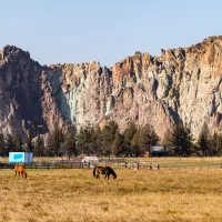 smith-rock-in-the-background-of-a-meadow-with-grazing-horses