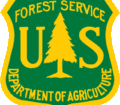 forest-2