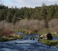 cline_falls_scenic_view