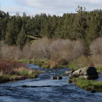 cline_falls_scenic_view