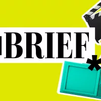 inbrief_v03_sd481285