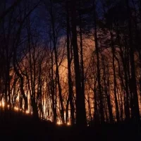 getty_northcarolinawildfires_032524517826