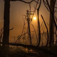 g_njwildfire_050225448103