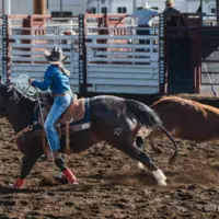 kingslee-green-team-roping