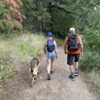 hiking_dog