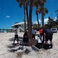news_sharkattack_61225890544
