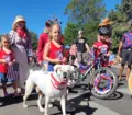 2024-pet-parade-image-01