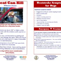 hsco-heat-can-kill-poster-24