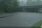 news_bronxrain_71525545294